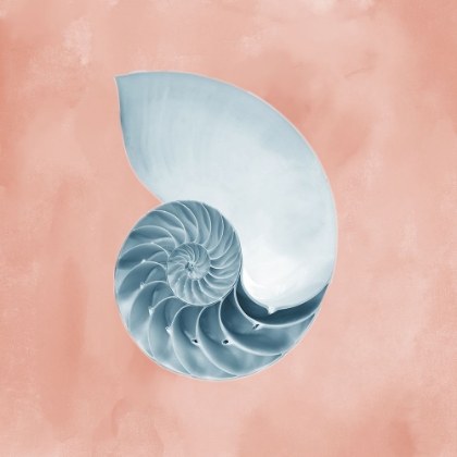 Picture of MIRACLES OF DELIGHT 3