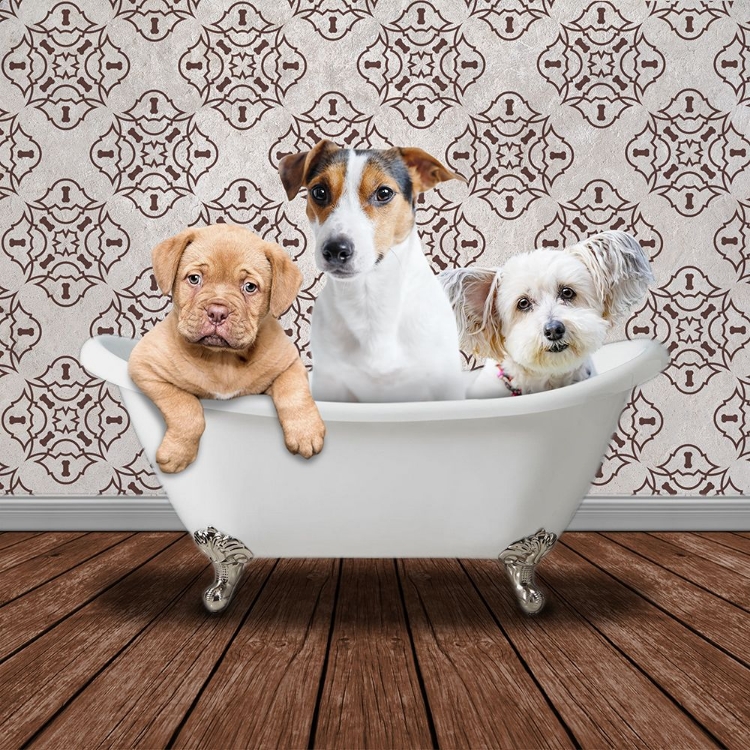 Picture of BATH BUDDIES 1