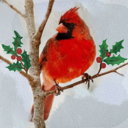 Picture of WINTER FRIEND