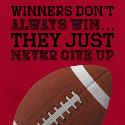 Picture of NEVER GIVE UP