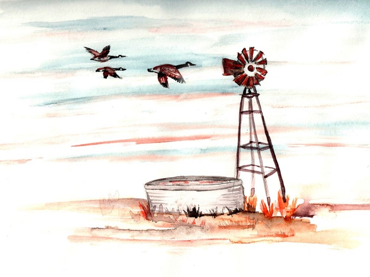 Picture of GEESE