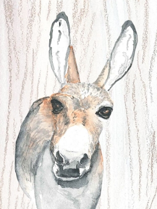 Picture of DONKEY 1