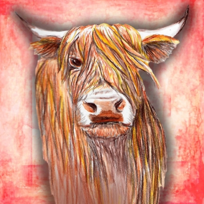 Picture of HIGHLANDER