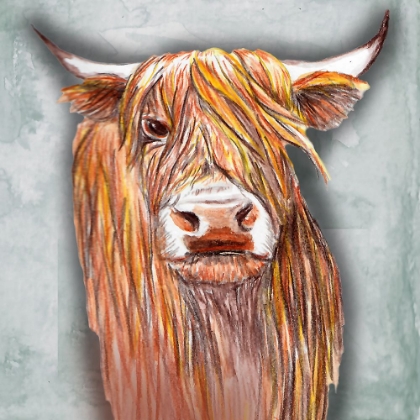 Picture of HIGHLANDER ON WHITE