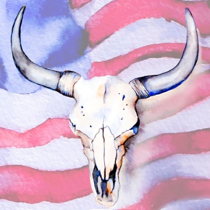 Picture of WESTERN SKULL AMERICAN