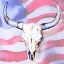 Picture of WESTERN SKULL AMERICAN