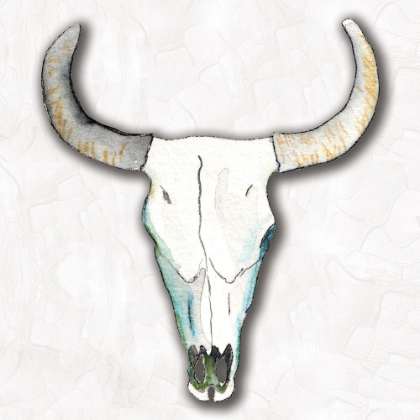 Picture of SOUTHWESTERN SKULL