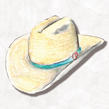 Picture of SOUTHWESTERN HAT