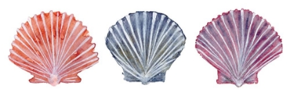 Picture of PEACHY SCALLOPS 3