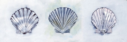 Picture of BLUE SCALLOPS 3