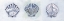 Picture of BLUE SCALLOPS 3