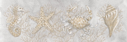 Picture of DRAWING SEA CREATURES 1