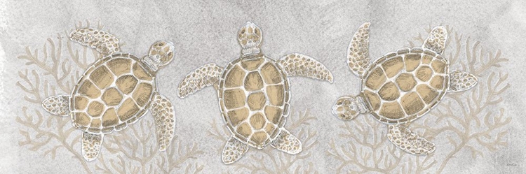 Picture of DRAWING TURTLES