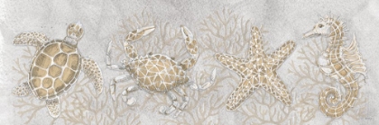 Picture of DRAWING SEA CREATURES 3