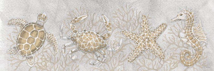 Picture of DRAWING SEA CREATURES 3