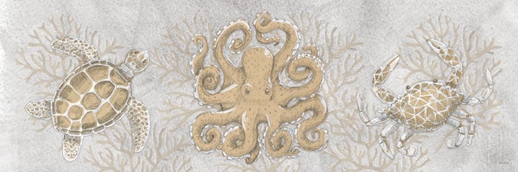 Picture of DRAWING SEA CREATURES 4