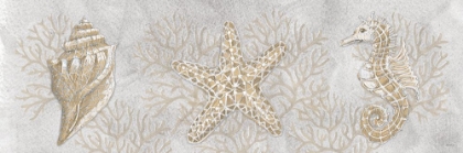 Picture of DRAWING SEA CREATURES 5