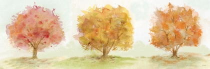 Picture of AUTUMN TREES