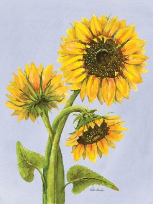 Picture of SUNFLOWER TRIO 1
