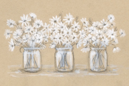 Picture of DAISIES JAR