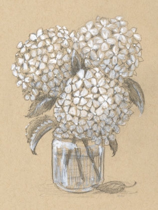 Picture of HYDRANGEA JAR