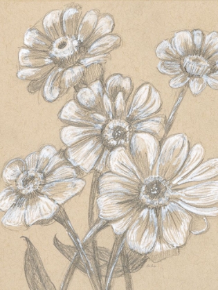 Picture of ZINNIAS