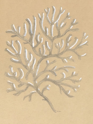 Picture of DRAWING CORAL
