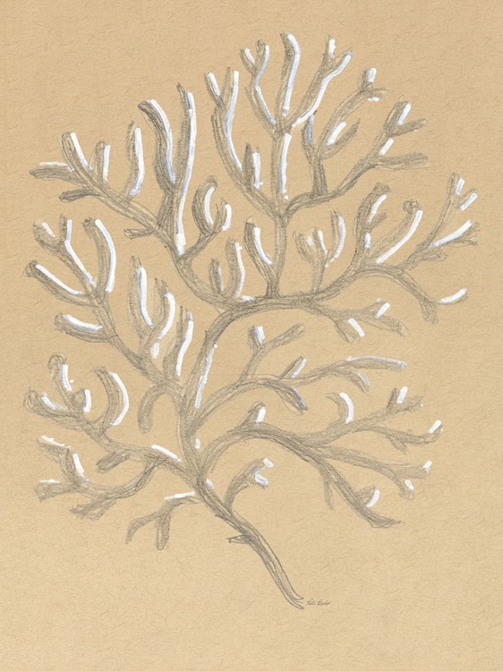 Picture of DRAWING CORAL