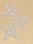 Picture of DRAWING STARFISH