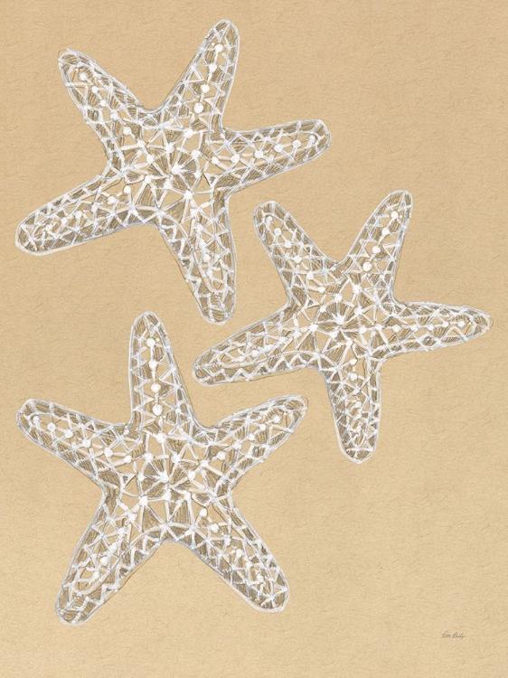 Picture of DRAWING STARFISH