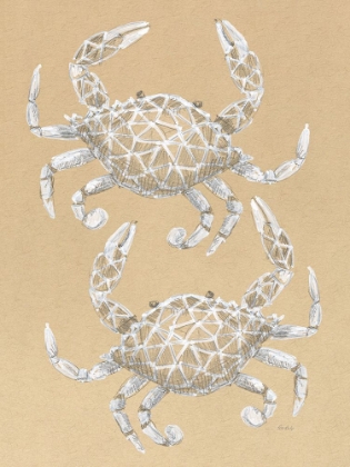 Picture of DRAWING CRABS