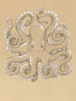 Picture of DRAWING OCTOPUS