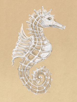 Picture of DRAWING SEAHORSE