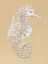 Picture of DRAWING SEAHORSE