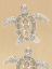 Picture of DRAWING TURTLES