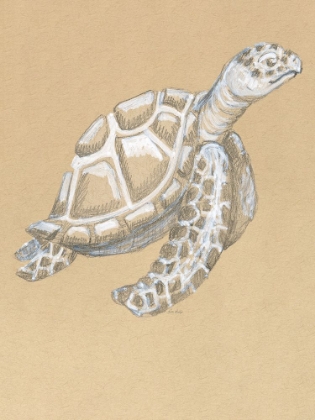 Picture of DRAWING TURTLE SIDE
