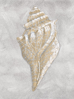 Picture of DRAWING CONCH GREY