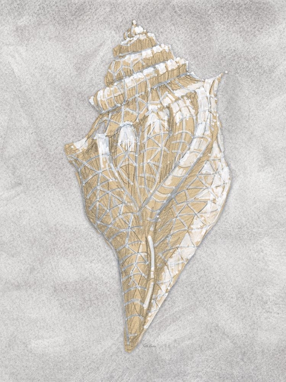 Picture of DRAWING CONCH GREY