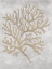 Picture of DRAWING CORAL GREY