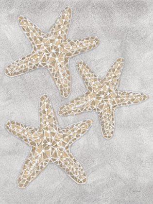 Picture of DRAWING STARFISH GREY