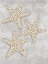 Picture of DRAWING STARFISH GREY
