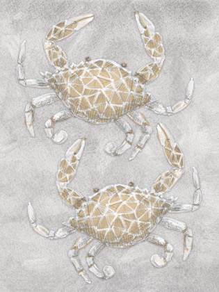 Picture of DRAWING CRABS GREY