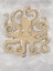 Picture of DRAWING OCTOPUS GREY
