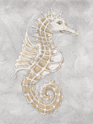 Picture of DRAWING SEAHORSE GREY