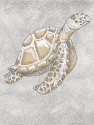 Picture of DRAWING TURTLE SIDE GREY