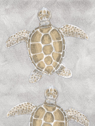 Picture of DRAWING TURTLES GREY