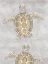 Picture of DRAWING TURTLES GREY