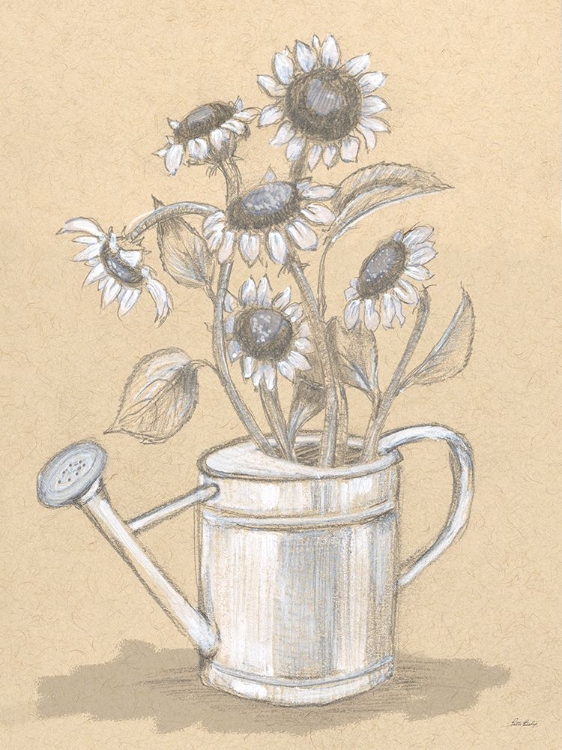 Picture of SUNFLOWERS DRAWING 1