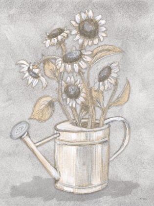 Picture of MUTED SUNFLOWERS DRAWING