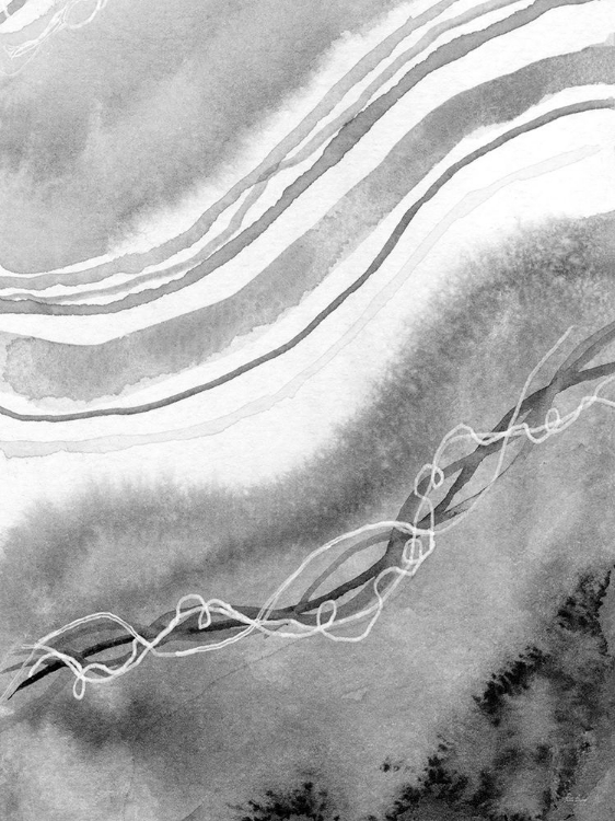 Picture of ABSTRACT BLACK AND WHITE WAVES